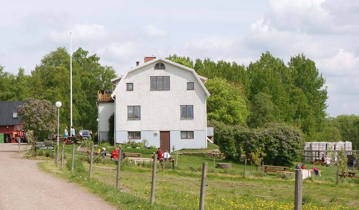 Fika i trädgården 