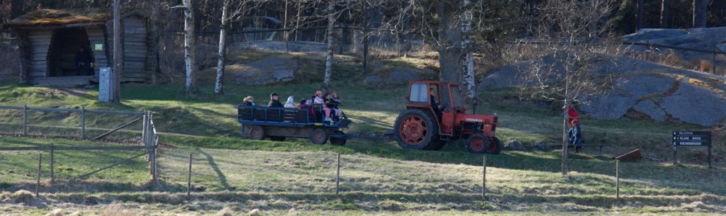 Traktor och vagn brukar vara en favorit 